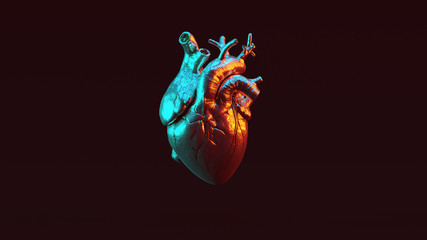 Silver Anatomical Heart with Red Orange and Blue Green Moody 80s lighting Front 3d illustration 3d render