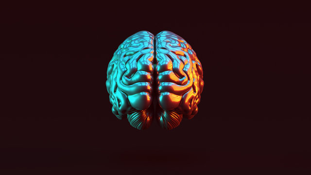 Silver Human brain Anatomical with Red Orange and Blue Green Moody 80s lighting Rear View 3d illustration 3d render