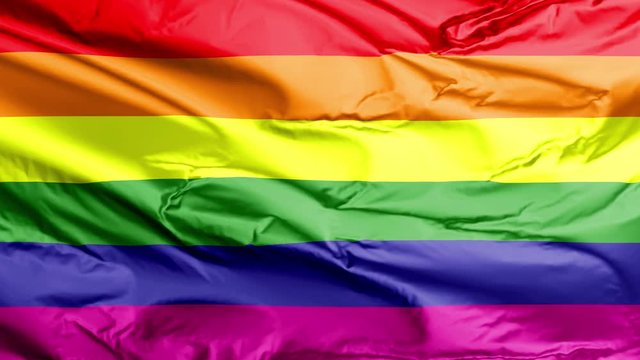 Gay Pride movement flag loop 
