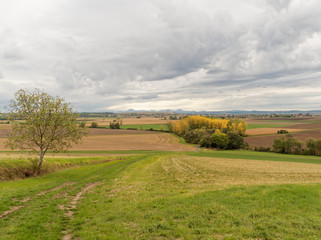 Paysage Limagne Bourbonnaise. Vue sur les champs de bataille de Cognat entre Protestant et Catholique au 16° siècle entre Vichy et Gannat avec la chaine des Puys à l'horizon
