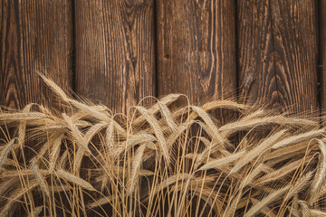 Rye ears bunch on rustic wooden background.