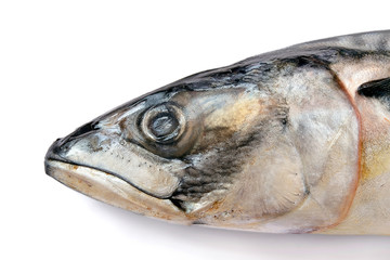 Head of frozen mackerel close-up on a white background. Mackerel head on a white background. Atlantic mackerel head with shadow isolated on a white background. View from above. Isolate