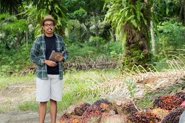 young male palm oil fruit farmer with palm oil fruit on the ground