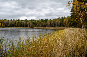 Late autumn in the Park, trees, t near the pond, the reflection of trees in the pond. Falling leaves. The colors of autumn.