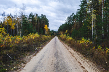  Dirt road leading through the autumn forest. Dirt road for the cars which transport the cut trees.