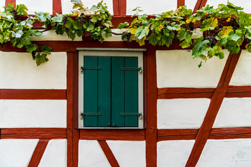 Germany, Typical traditional facade of an old ancient timbered house in historic district decorated with vine plants