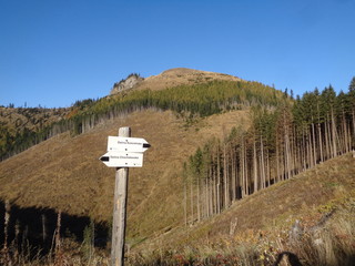  Tatrzański Park Narodowy - szlak Ścieżka nad Reglami © M. G. Koperkiewicz