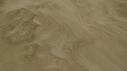 Obraz premium Sand by the river. Defocused Background. Template for design.