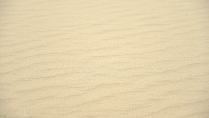 Fototapeta na wymiar Sand by the river. Defocused Background. Template for design.