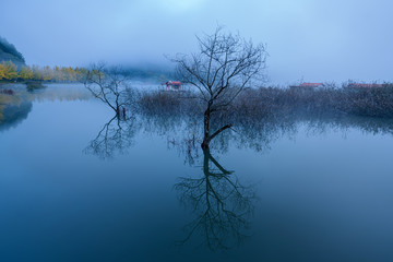 안개낀 새벽 문광저수지 풍경