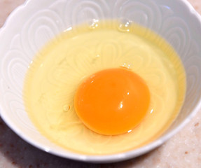 卵　たまご