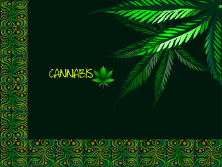 Colorful Cannabis leaves drug marijuana on black background