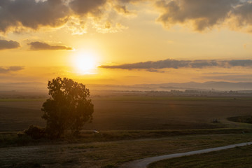 Israel, sunset, pardes