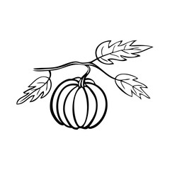 Black and white vector illustration of a pumpkin