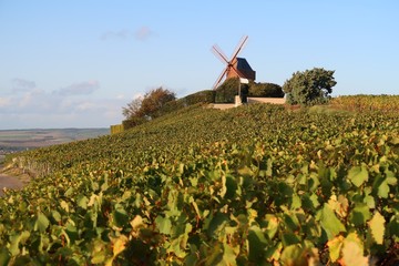 Moulin de Verzenay au milieu des vignes en Champagne (France) © Florence Piot