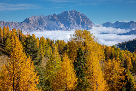 Randonnée dans les forêts des Dolomites , Italie. © rochagneux