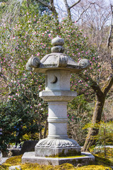 Stone lantern in Japanese botanical zen Tenryuji Sogenchi garden. during cherry (sakura) blossom time are going to bloom in Kyoto.