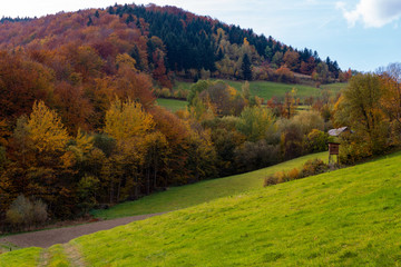 Naklejka premium Autumn landscape in Mountains