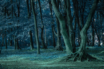 Halloween style photography of dark twilight fairy tale forest nature scenic outdoor environment 