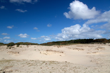 Sand drift in Dutch dunes; Zeeland, Netherlands