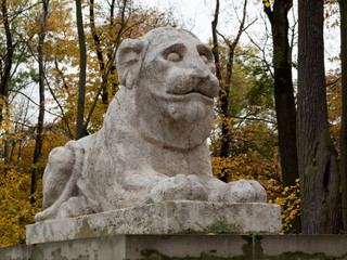 lew © Henryk Olszewski