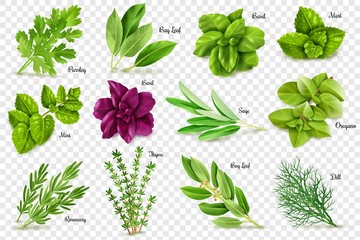 Spices herbs transparent background - obrazy, fototapety, plakaty