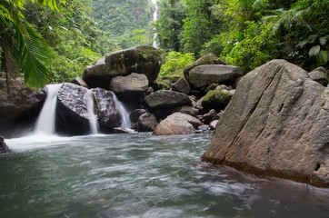 Fototapeta na wymiar jungle and forest waterfall natural waterfall guadeloupe caribbean