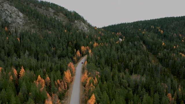 Aerial drone flight above Mountain Forest Road with Red Car in Autumn Fall Color In The Forest 4K