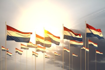 pretty many Netherlands flags in a row on sunset with empty space for text - any celebration flag 3d illustration..