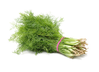 Fennel bunch on white background
