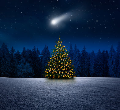 Leuchtender Weihnachtsbaum im Schnee bei Nacht an Heiligabend