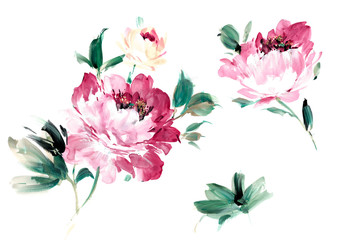 Flowers watercolor illustration.Manual composition.Big Set watercolor elements. © lin