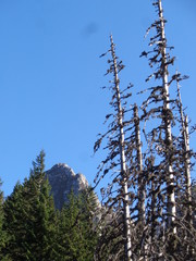 Obraz premium Tatrzański Park Narodowy - szlak na Giewont