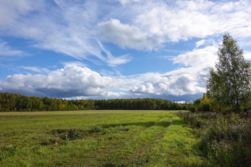 Beautiful countryside landscape. Green field and blue sky with clouds.