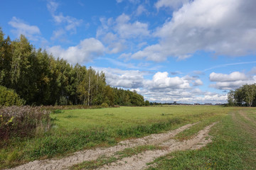 Fototapeta na wymiar Green field with a country road and sky with clouds. Russia