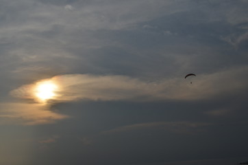 Paraglider