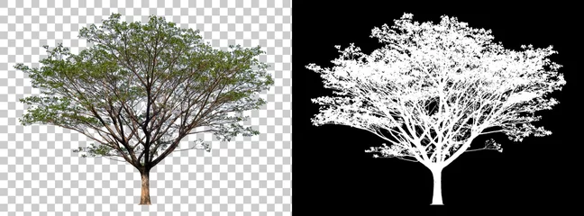 Gardinen Isolated single tree with clipping path and alpha channel on a transparent picture background. Big tree large image is easy to use and suitable for all types of art work and print. © Choo