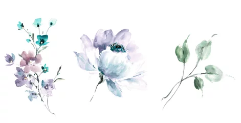 Schilderijen op glas Geschilderde Bloemen Flowers watercolor illustration.Manual composition.Big Set watercolor elements.  © lin