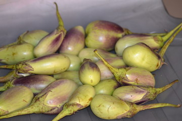 green Brinjal egg plant fresh ready to be sold in market