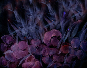 Purple hydrangea. Flowers in the flowerbed. Hand-drawn, watercolor, still life of hydrangea, grassfield. Field flowers. Spring. Summer. Background. Floral composition. Woman's Day. Dark background