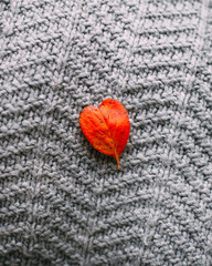 red leaf in the shape of a heart. Valentine's day concept