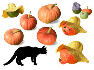 Set of nine pumpkins and a silhouette of a black cat isolated on a white background, attributes for Halloween.