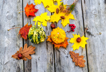 Colorful maple and oak leaves, decorative pumpkin on background of wooden table in a resting area of public nature park
