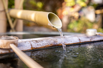 手水舎の竹から水が出てくる瞬間　bomboo water