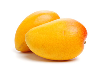 Mango on a white background