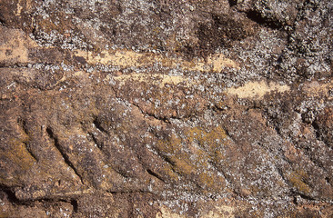 Background of sandstone rock