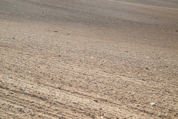 Plowed field view