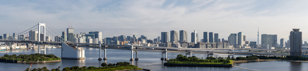 Fototapeta na wymiar Tokyo Tower Rainbow bridge panorama