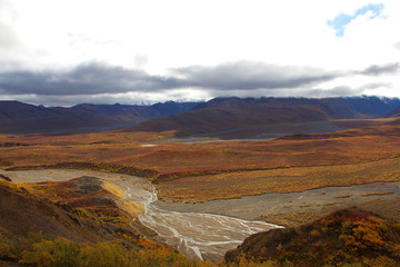 Indian Summer in Denali Nationapark