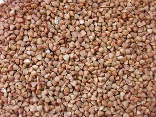 buckwheat